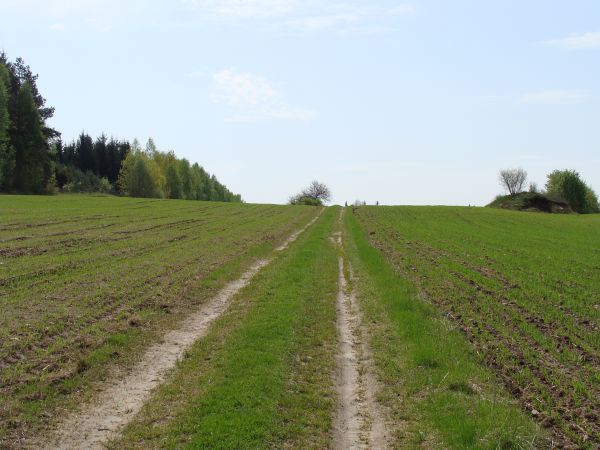 Najbliższa okolica:)