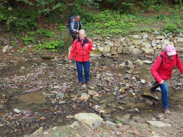 oj ! - gdyby wezbrało to by nie przeszło - ale tu i klimat pomógł i pogoda no i  trochę bobry bo wyżej jeziorko urządziły, groble zastawiały - i niemal suchą  n