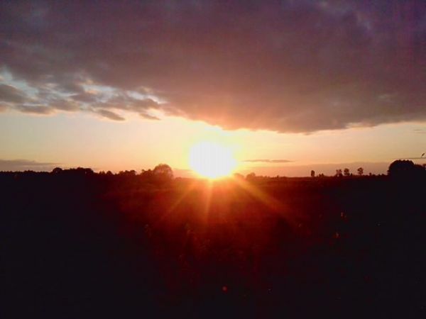 zdjecie Miękisz Stary