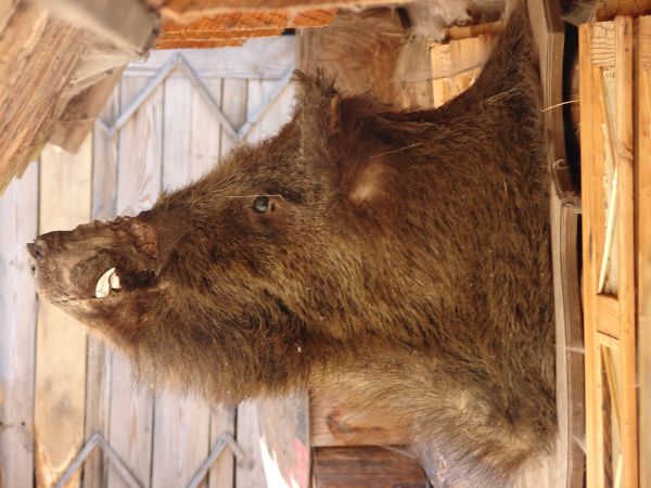 Stare Drawsko - Drahim