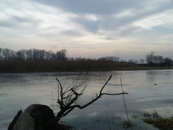 Zdjecie łachy bliżej