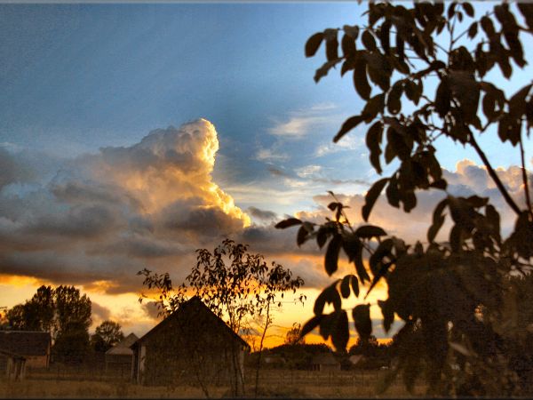 zdjecie Tyniewicze Duże