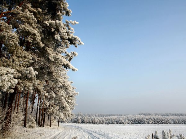 zdjecie Tyniewicze Duże