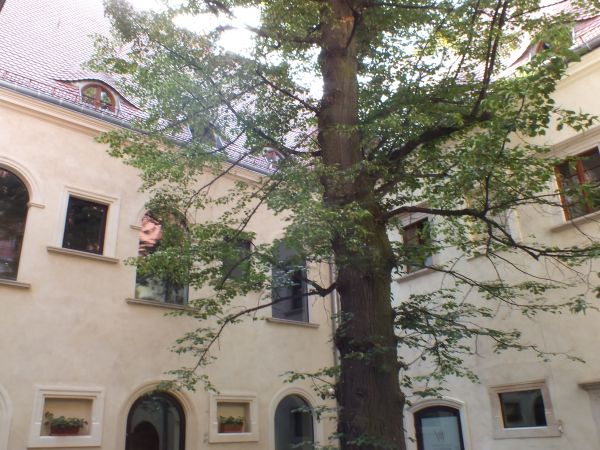 Zdjęcia Gola Dzierżoniowska