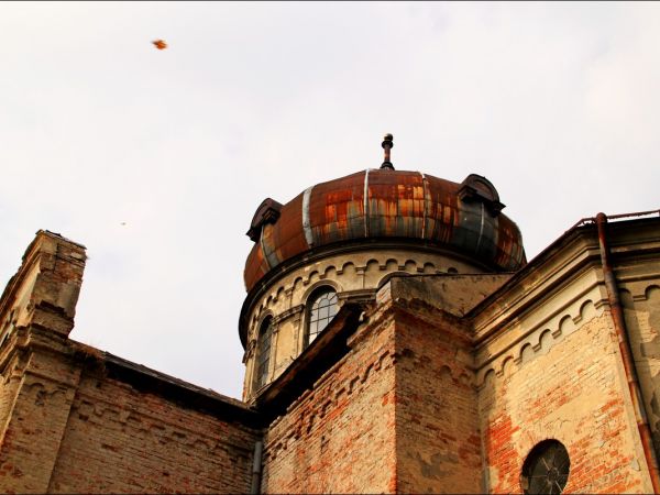 Zrujnowana , murowana cerkiew greckokatolicka , wybudowana w 1904 r. w stylu nowobizantyjskim w Starym Dzikowie. W 2007 r. w jej plenerach kręcono film A. Wajdy