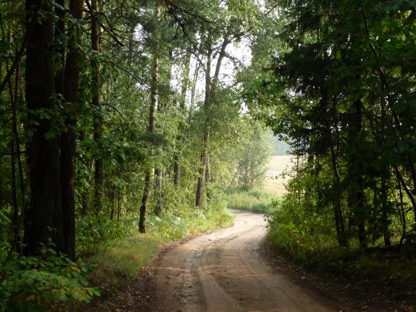 zdjecie Piłatowszczyzna