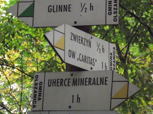 puszcza karpacka / knieja - to Kostryń, tam też kurhan wzmiankowany już w 1477r., zaś sama nazwa Kostryń /źle na mapie: poniżej !/ wywodząca się od słów "ostroż