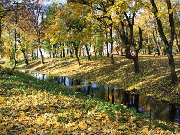 Park w Medyce − pochodzący z drugiej połowy XVI wieku (z reliktami z XIV i XVI wieku).
