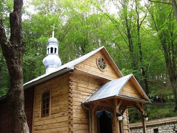 zdjecie Nowiny Horynieckie