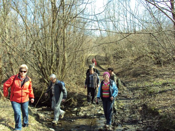 tam za potokiem - na lewo - dwór stał, namiestnik zaborcy - starosta sanocki Ostermann w latach 30-40-tych XIX wieku tu "na wody" bryczką z Sanoka przez m. Ratn