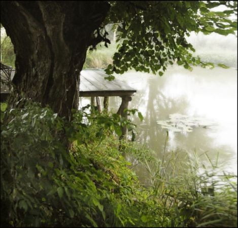 POMOST POD STARĄ WIERZBĄ