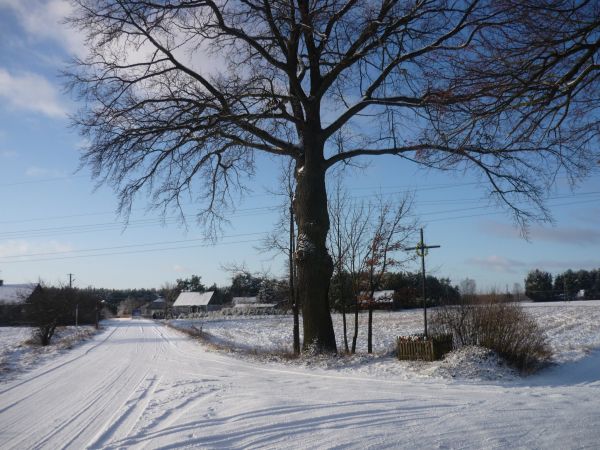 Piasecznia skrzyżowanie Kościuszki