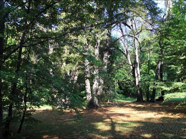 Zespół pałacowo - parkowy Czartoryskich .