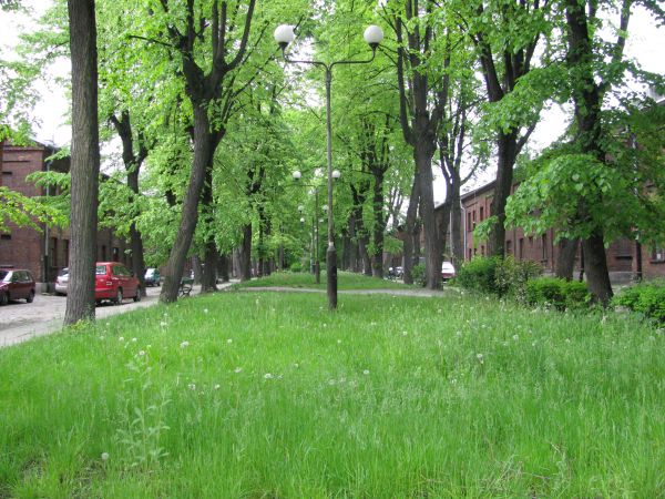 Księży Młyn w Łodzi