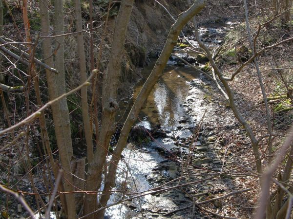 potok Modrza /Odrzin - też tak kiedyś nazywany/ z pasma Żurawinki do potoku Niebieszczańskiego wody toczy, do wsi Prusiek - tam "Ranczo Modrza" - warto zajrzeć,
