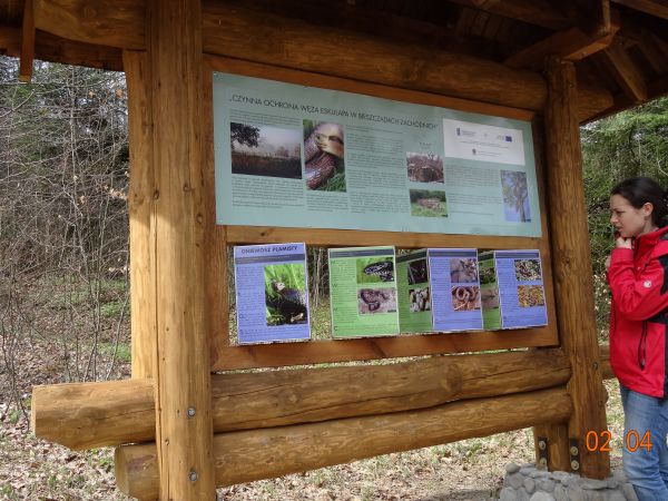na ścieżce edukacyjnej przyrodniczo-turystycznej - pieszym szlakiem spacerowym. To ścieżka wielotematyczna, jej założeniem jest problematyka przyrodnicza a tu k