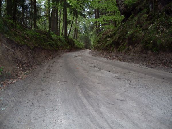 STARA LEŚNA DROGA-WĄWÓZ TRASA SZUTROWEGO RAJDU WARMIŃSKIEGO.