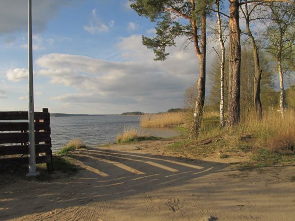 Na brzegu jeziora Wdzydze przy OW Jasnochówka
