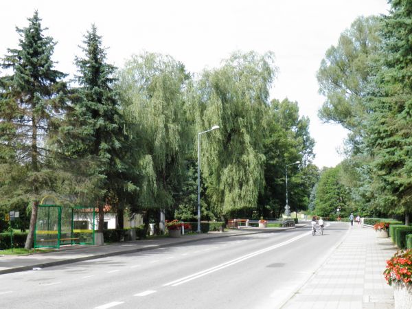 Horyniec Zdrój - centrum - fragment