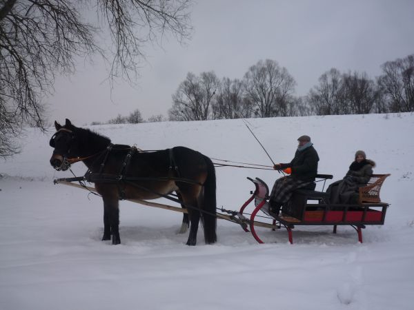 zdjecie Nowy Secymin