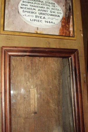 sosna znalazła się w obrębie kaplicy i nadal tkwi korzeniami w ziemi, z tym że poobcinano jej konary. Przez wieki pobożni pielgrzymi odcinali z pnia małe cząstk