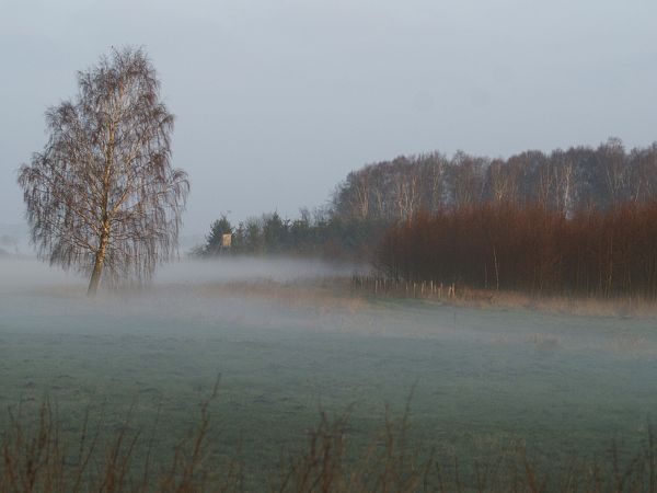 Poranek nad kocuńią