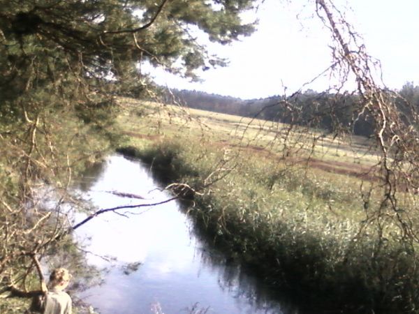 Rzeka Włodawka w Suchawie