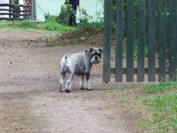 Uważaj, mam ciebie na oku