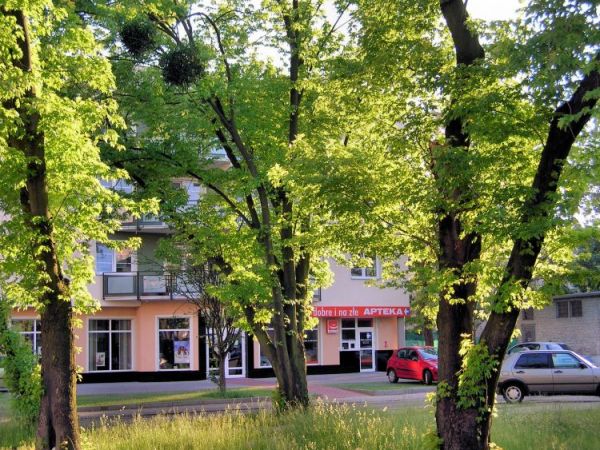 Kędzierzyn-Koźle - ulica Harcerska