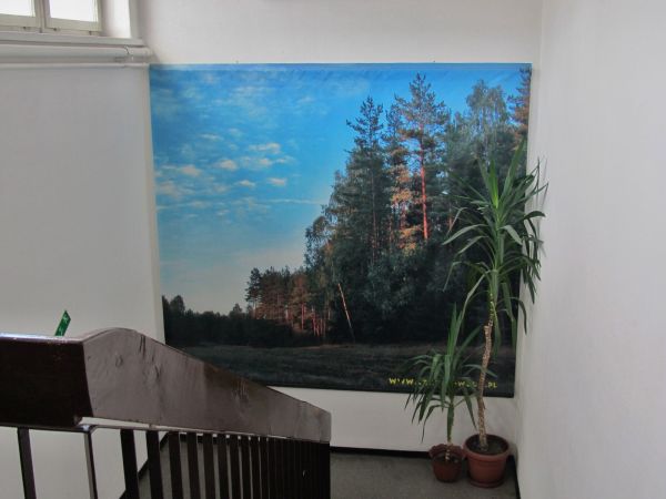 Klatka schodowa w Urzędzie Miejskim