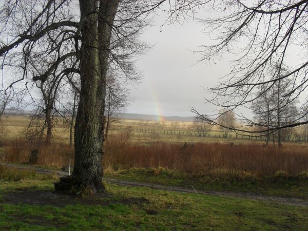Tęcza w styczniu