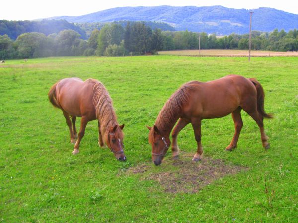 Zdjęcia Mościce Dolne
