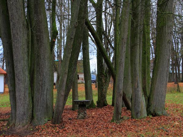 Zdjęcia Kamienny Dwór