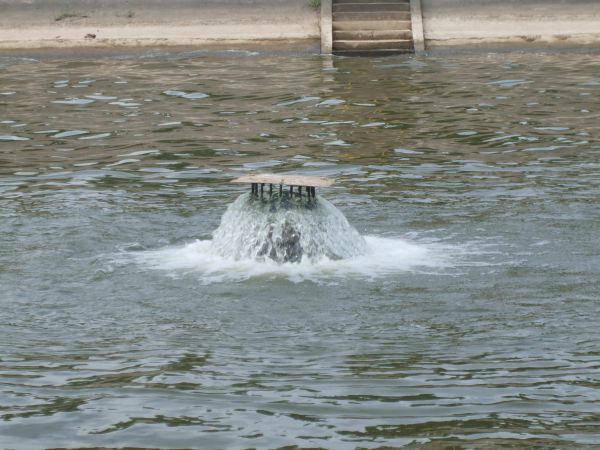 zdjecie Siedlątków