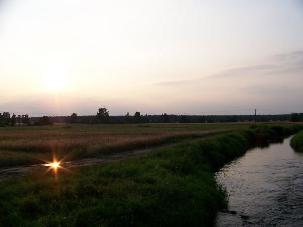 Czasem spadają tu gwiazdki z nieba
