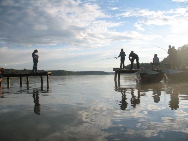 zdjecie Nowa Kaletka