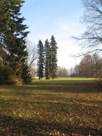 zdjecie Białowieża