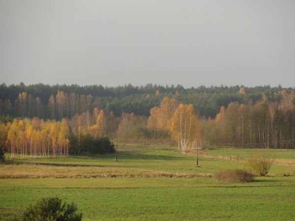 Jeszcze ostatnie promienie slonca