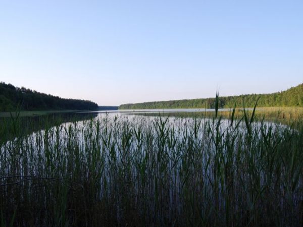 Wygon - jezioro Piaski