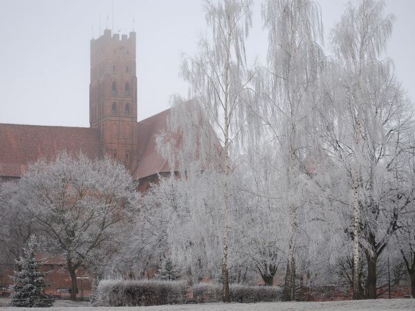 zdjecie Malbork