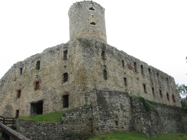 2011