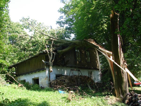 23.08.201 Muzeum S.Zeromskiego