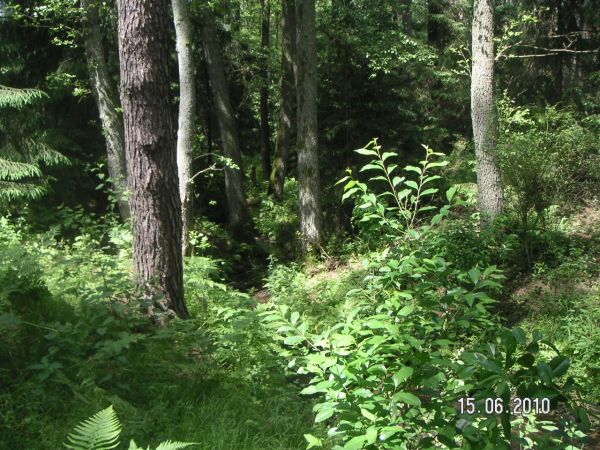 Przełom Rzeczki  Bezimiennej