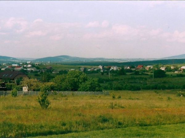 Cztery pory roku w Mójczy.
Lato.