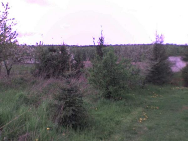 Krajobraz Lisowic :D