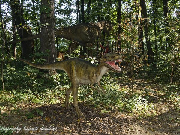 Park Ruchomych Dinozaurów
