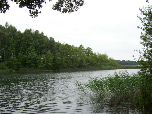 Panorama jeziora z widokiem na wyspę