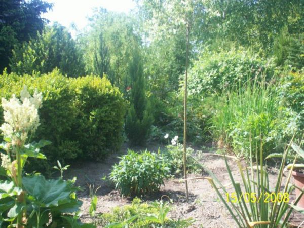 Śliczny przydomowy ogródek na ul. Kwiatowej.