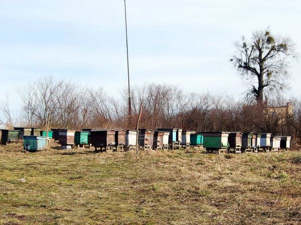 Stanowo -wiosna 2012 rok.