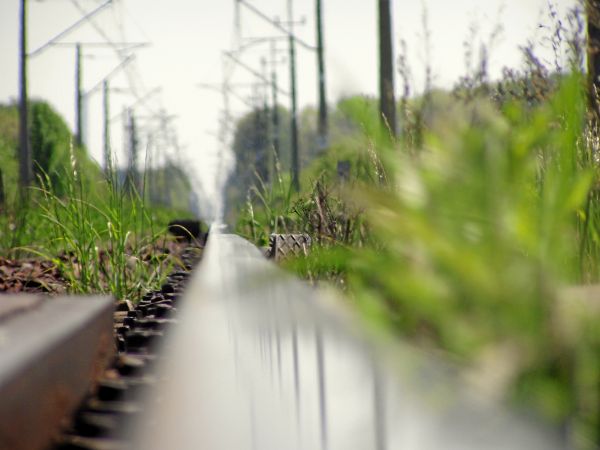 zdjecie Stare Siołkowice